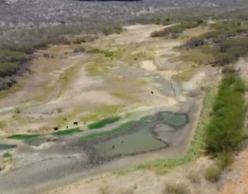 Mais da metade dos municípios da Paraíba sofrem com a estiagem e estão em situação de emergência — Foto: Reprodução/TV Globo