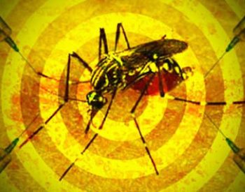 febre_amarela_grande