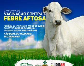 Foto —©Divulgação.