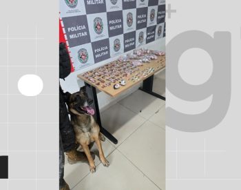 Polícia apreende drogas durante ação com cão farejador em comunidade em João Pessoa — Foto: Reprodução/Polícia Militar