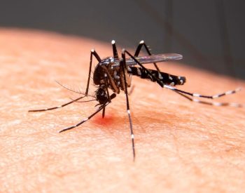 Paraíba registra mais de 4,2 mil casos e 6 mortes por dengue no primeiro semestre de 2026 — Foto: g1