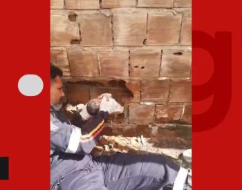 Bebê é retirado de parede após ser abandonado no Litoral da Paraíba — Foto: Reprodução