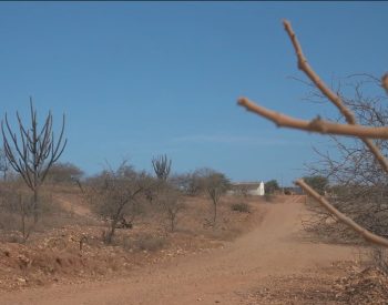 Inmet emite alerta de baixa umidade para 107 cidades da Paraíba; confira lista — Foto: Reprodução/TV Globo