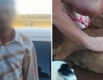 Homem é acusado de maus tratos aos animais