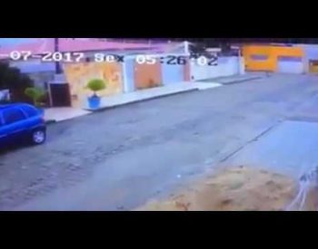 7497