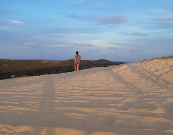 Dunas de Búzios, no litoral sul do Rio Grande do Norte — Foto: Fernanda Zauli/g1
