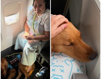 Raquel Nery com cão de serviço após conseguir embarcar em voo, em Maceió. — Foto: Reprodução/Redes sociais
