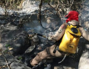 Bombeiros combatem incêndio desde o início da semana — Foto: CBM