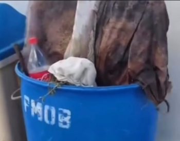 Foto — ©Divulgação.