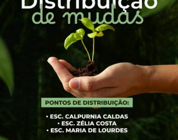 Foto — ©Divulgação.