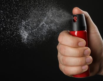 Foto —©Shutterstock.