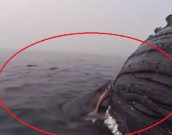 © Reprodução/Facebook