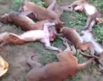 © Reprodução/Youtube