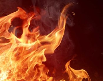 Foto — © Shutterstock - imagem ilustrativa.