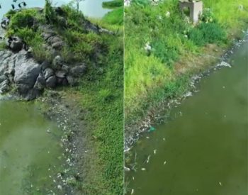 Peixes foram encontrados mortos no Açude do Governo, em Currais Novos — Foto: Pedro Seridó Arretado