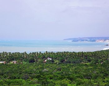 Praia de Jacarapé, Zona Sul de João Pessoa, na Paraíba — Foto: Kleide Teixeira/Arquivo Pessoal
