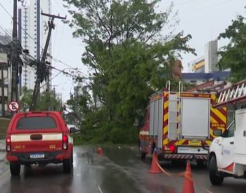 Árvore cai na Avenida Júlia Freire após chuvas e interdita via no Expedicionários, em João Pessoa — Foto: Reprodução / TV Cabo Branco
