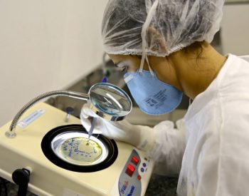 Fábrica de medicamentos sólidos orais multi propósito estará em funcionamento até o fim de 2017