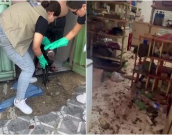 Animais estavam em condições de maus-tratos em residência em Mossoró — Foto: Reprodução/Inter TV Cabugi