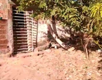 Construção onde idoso era mantido ficava ao lado de currais e chiqueiros — Foto: Polícia Civil/Divulgação