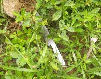 Faca encontrada na cena do crime, em praça de Natal — Foto: Cedida