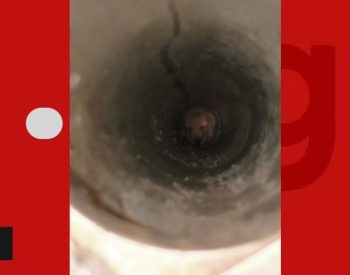 Cachorro é resgatado após cair em tubulação no Sertão da PB — Foto: Reprodução/g1