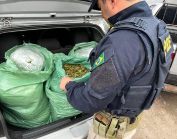 Duas pessoas são presas suspeitas de transportar 25 kg de skunk em carro na BR-230, na Paraíba — Foto: Reprodução / PRF