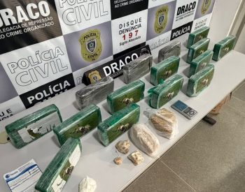 Mulher é presa e 20 kg de maconha que seriam traficados no São João de Campina Grande são apreendidos — Foto: Polícia Civil da Paraíba