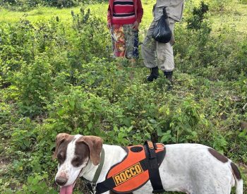 Idosa desaparecida é encontrada no Agreste da Paraíba — Foto: Reprodução Corpo de Bombeiros.